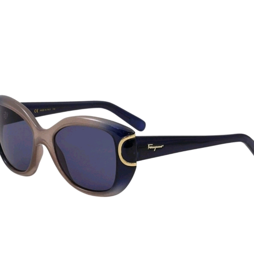 Salvatore Ferragamo Blue Turtle Sunglasses
